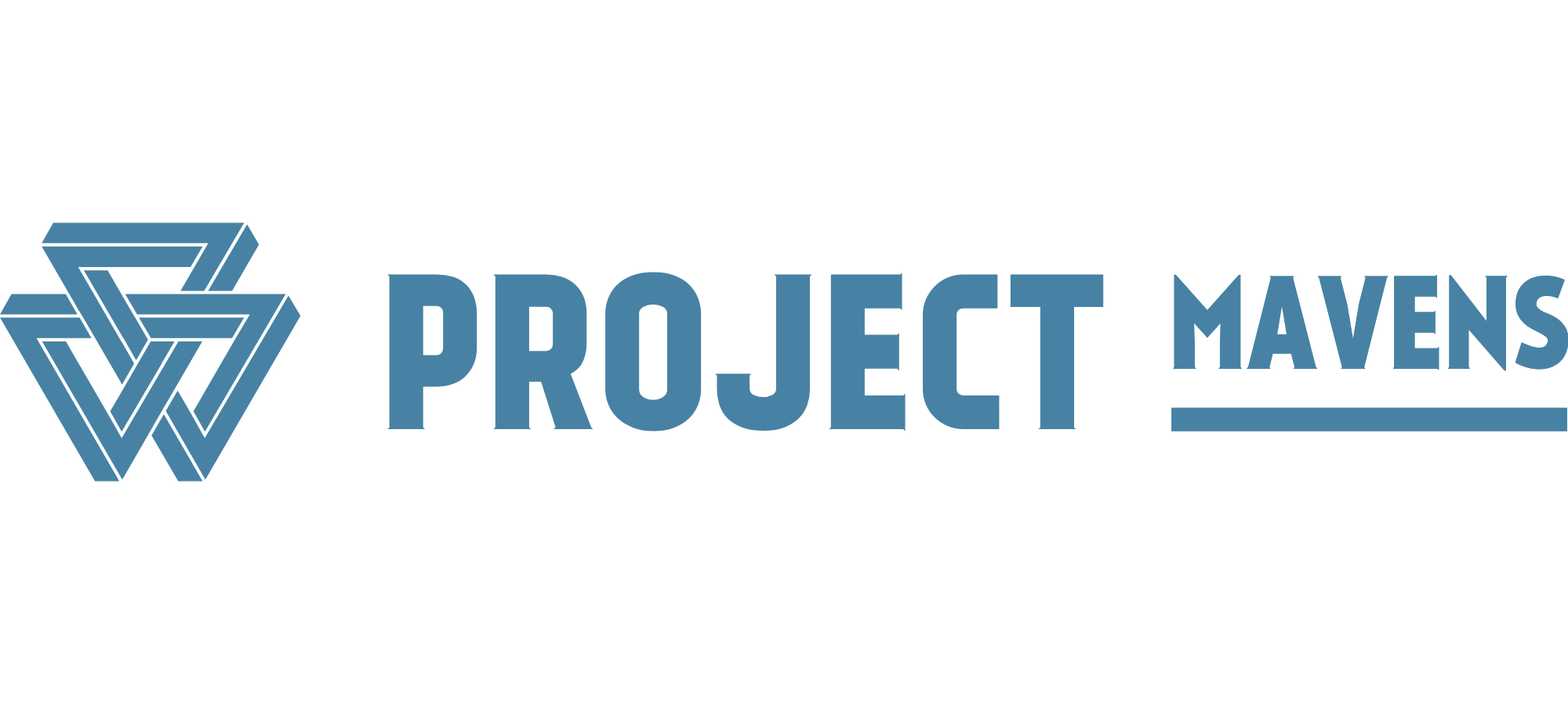 Project Mavens Logo
